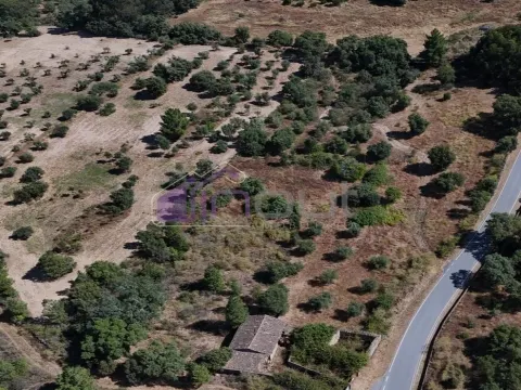 &#127807; Terreno Rústico com Palheiro, Poço e Árvores de Fruto – Bemposta &#124; 27.000&#8239;€ &#127807;