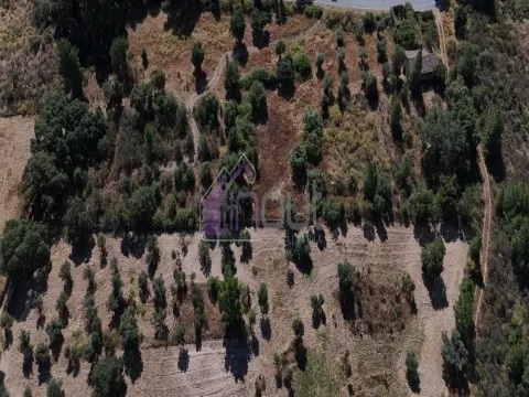 &#127807; Terreno Rústico com Palheiro, Poço e Árvores de Fruto – Bemposta &#124; 27.000&#8239;€ &#127807;