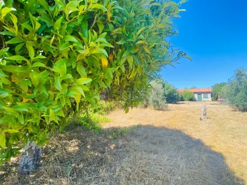 &#127795; Quintinha com 6.140 m² em Louriçal do Campo – Um refúgio entre a serra e o rio! &#127966;&#65039;