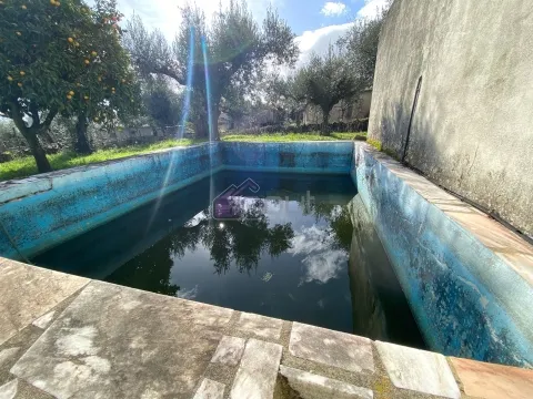 Armazém com Terreno de 2.000 m², Poço, Furo e Piscina – Aldeia da Lousa