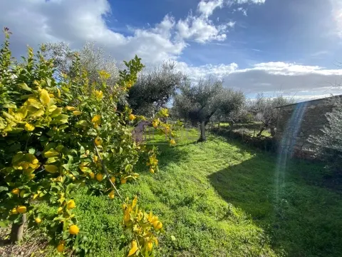 Armazém com Terreno de 2.000 m², Poço, Furo e Piscina – Aldeia da Lousa