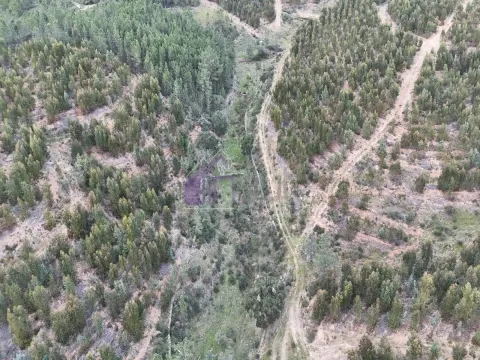 Terreno Rústico com Água Própria e Natureza Autêntica em Maxiais – O Refúgio Perfeito no Coração de