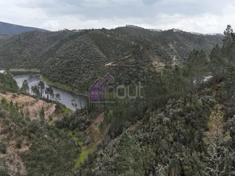 Terreno Rústico com 4.640m² Confinante com o Rio Ocreza – Natureza e Privacidade em Proença-a-Nova