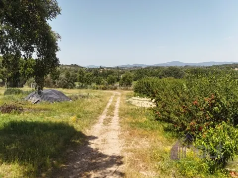 Quinta