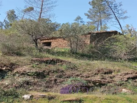 Quinta T2