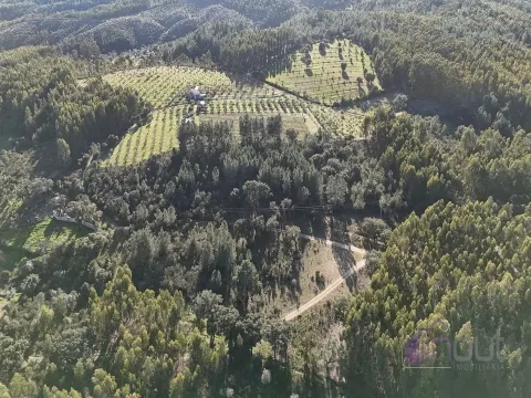 Terreno Rústico, com Sobreiros e Terra Arvense à Venda 25.000€