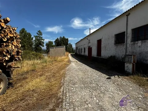 img_150