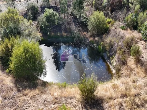 Rustico Terreno