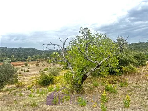 img_34