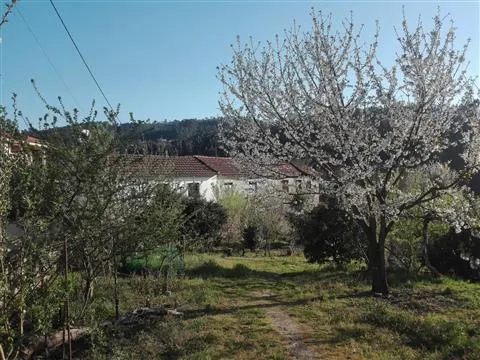 Fattoria / Cascina / Casale