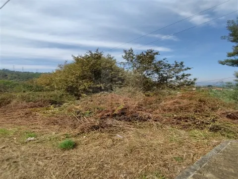 🏡 Terreno para Construção de Moradia Individual – 688 m² | Santa Lucrécia de Algeriz, Braga