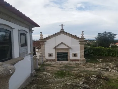 🏡 Quinta Histórica de 1937 com 8.000 m² – Palmeira, Braga