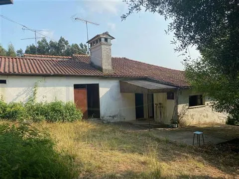 Casa bifamiliare T3 con giardino. Necessita di alcuni lavori