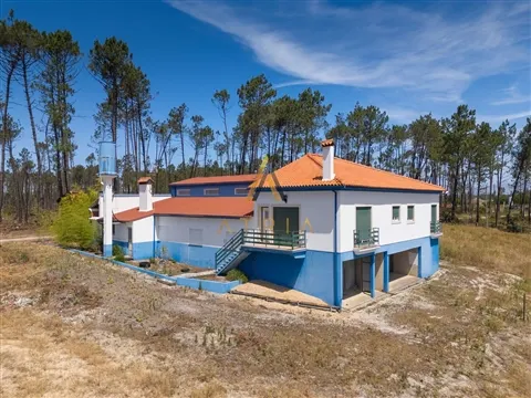 Quintinha T4