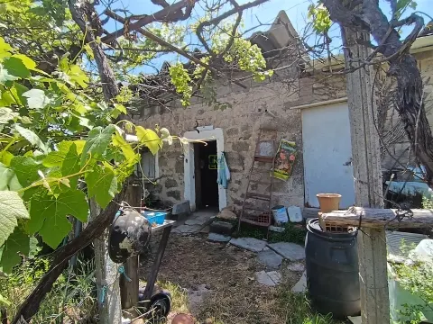 Quintinha com 3500m2 situada na entrada de Penamacor.