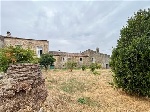 img_64