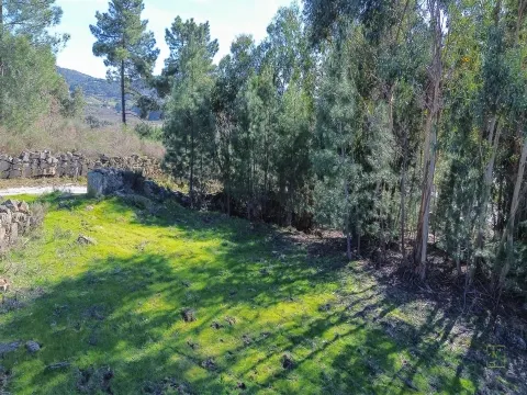Terreno 1.3 Ha com Poço em Aranhas, Penamacor | €24.900