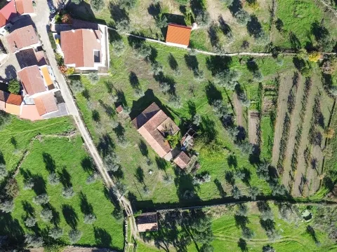 Terreno misto em Aldeia de João Pires