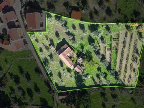 Terreno misto em Aldeia de João Pires
