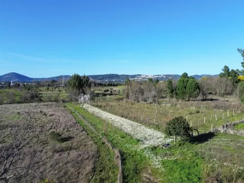 Terreno Rústico em Penamacor