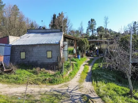 Terreno Rústico em Penamacor