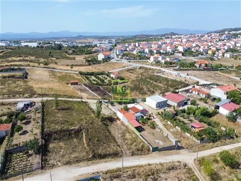 img_9