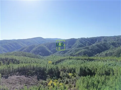 Landgrundstück