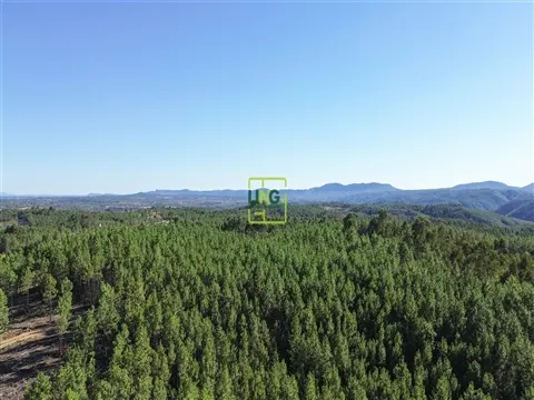 img_8