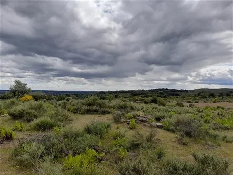 Farm 5200m2 - Quintas da Torre - Fundão - Portugal