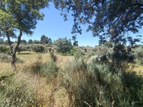 Rustic land in águas, Penamacor!