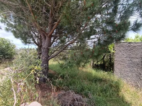 Terreno Rústico em Águas, Penamacor