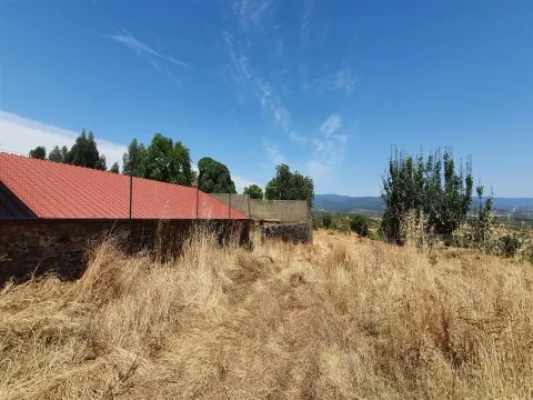 180-hectare Estate - Penamacor