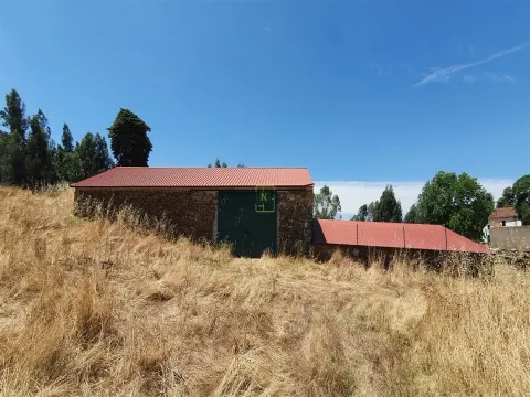 180-hectare Estate - Penamacor