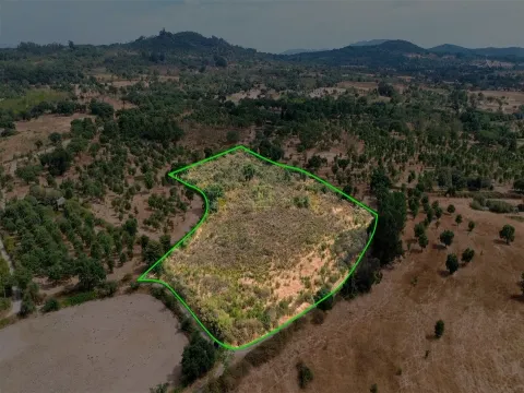 Terrain rustique à Penamacor