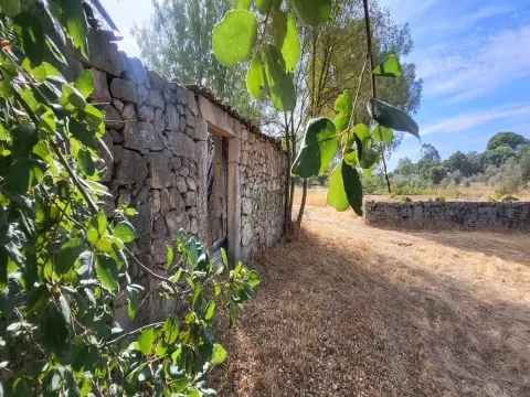 Ferme de 3 250 m² avec dépendance de 36 m² – à 10 minutes de Castelo Branco