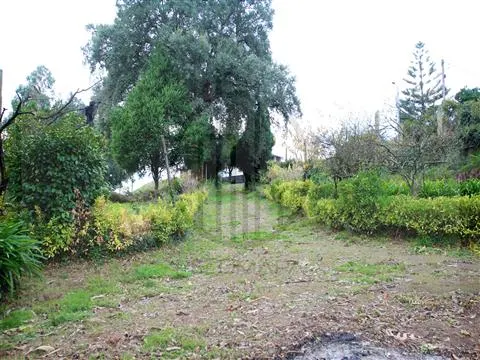 terreno para construção