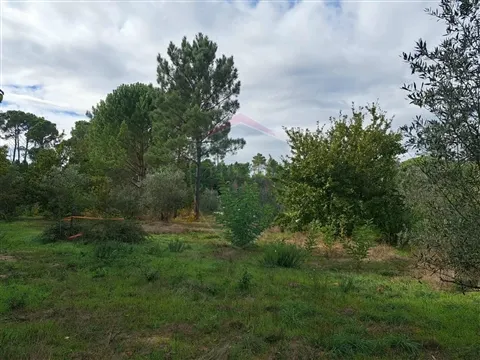 Terrain rural