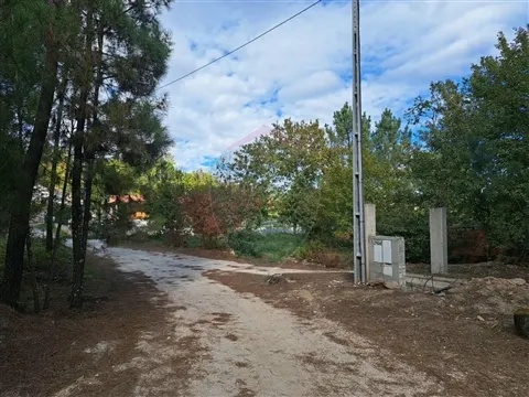 Terrain rural