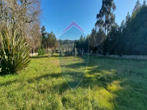 Fattoria / Cascina / Casale