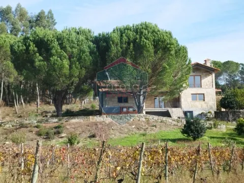 Fattoria / Cascina / Casale