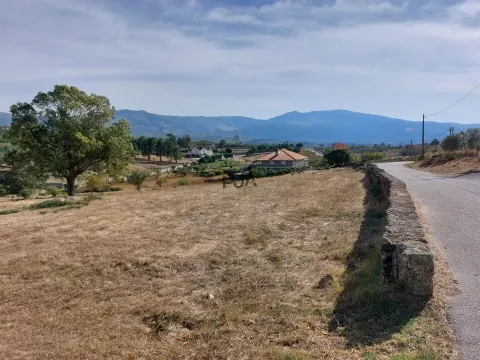 Terreno com viabilidade construtiva em Vila Ruiva, Fornos de Algodres