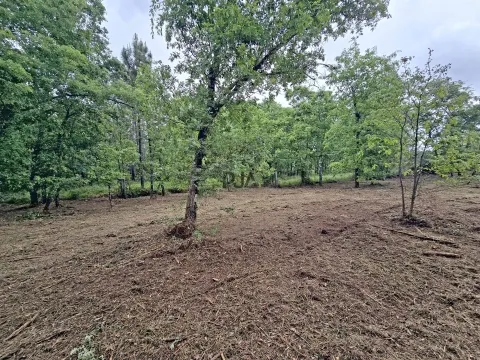 Lote de Terreno Industrial em Quintela de Azurara, Mangualde