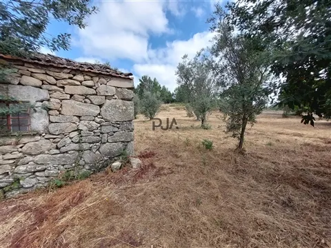 Quinta com 3 Ha em Fornos de Algodres