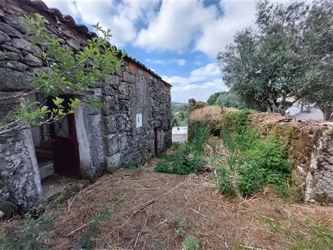 Quinta com 3 Ha em Fornos de Algodres
