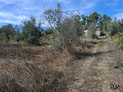 img_1