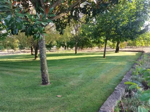 Moradia Rústica T3 em Pindo de Baixo, Penalva do Castelo