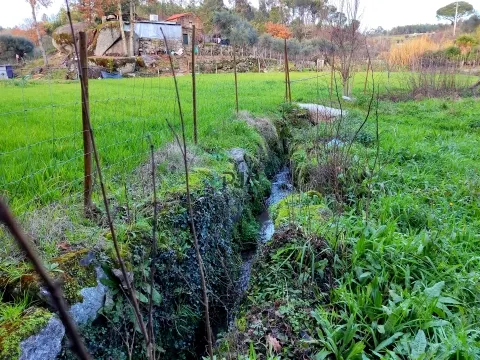 Terreno com viabilidade construtiva em Vila Corça