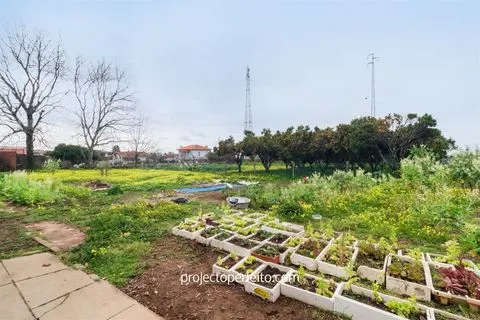 Boerderijtje 5 kamerwoning