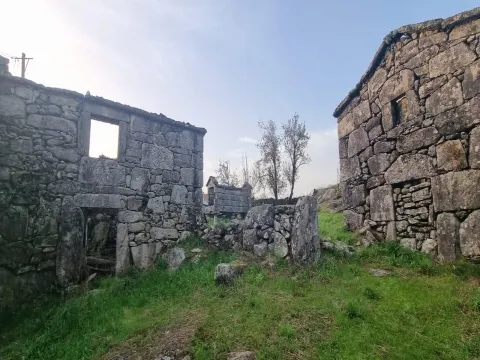 Terrain
