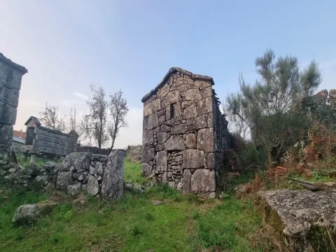 Terrain
